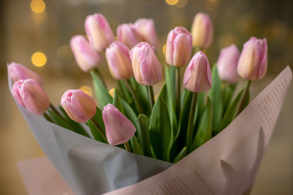 Ý nghĩa màu sắc của hoa