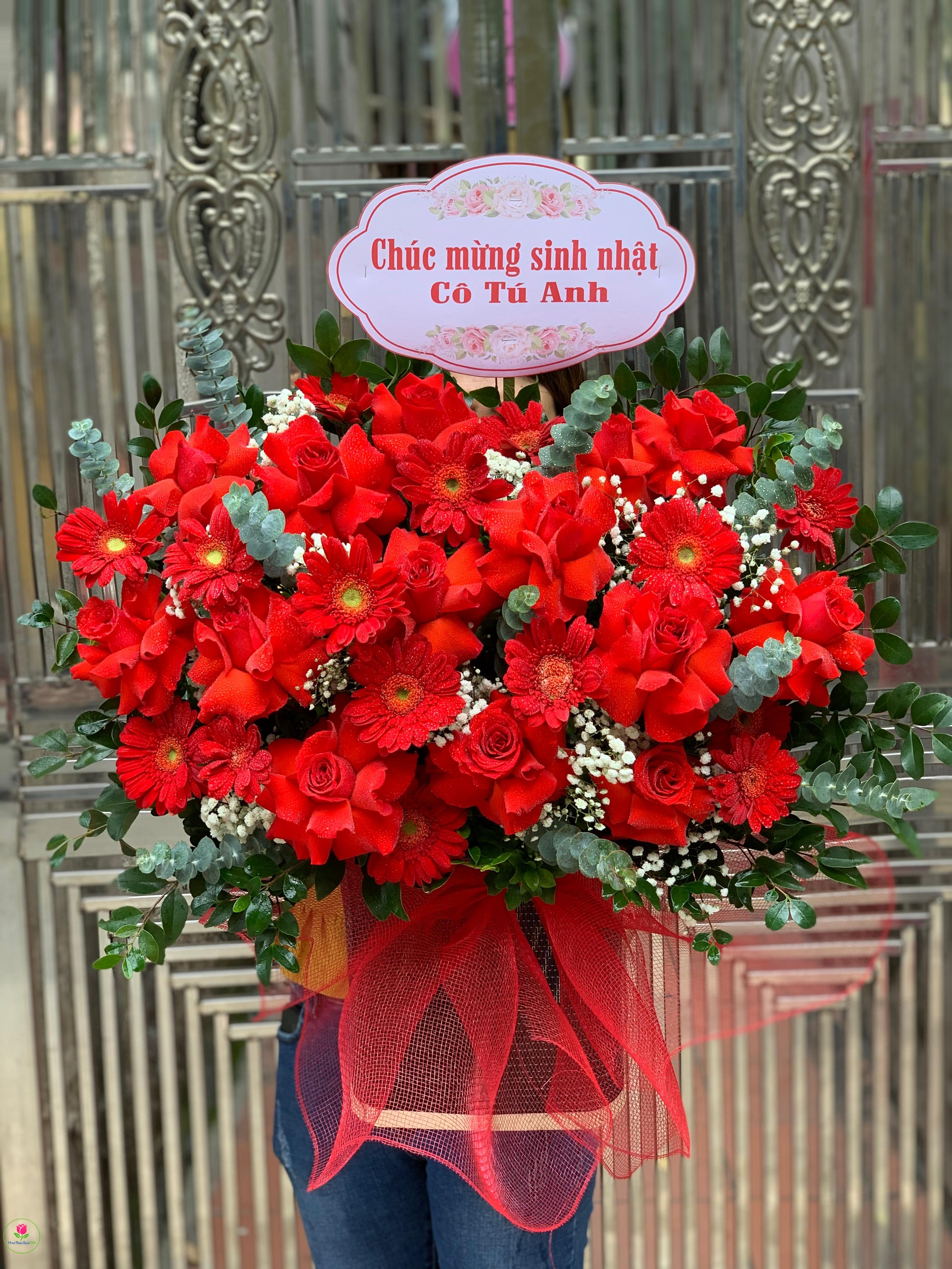 Hoa giỏ 43